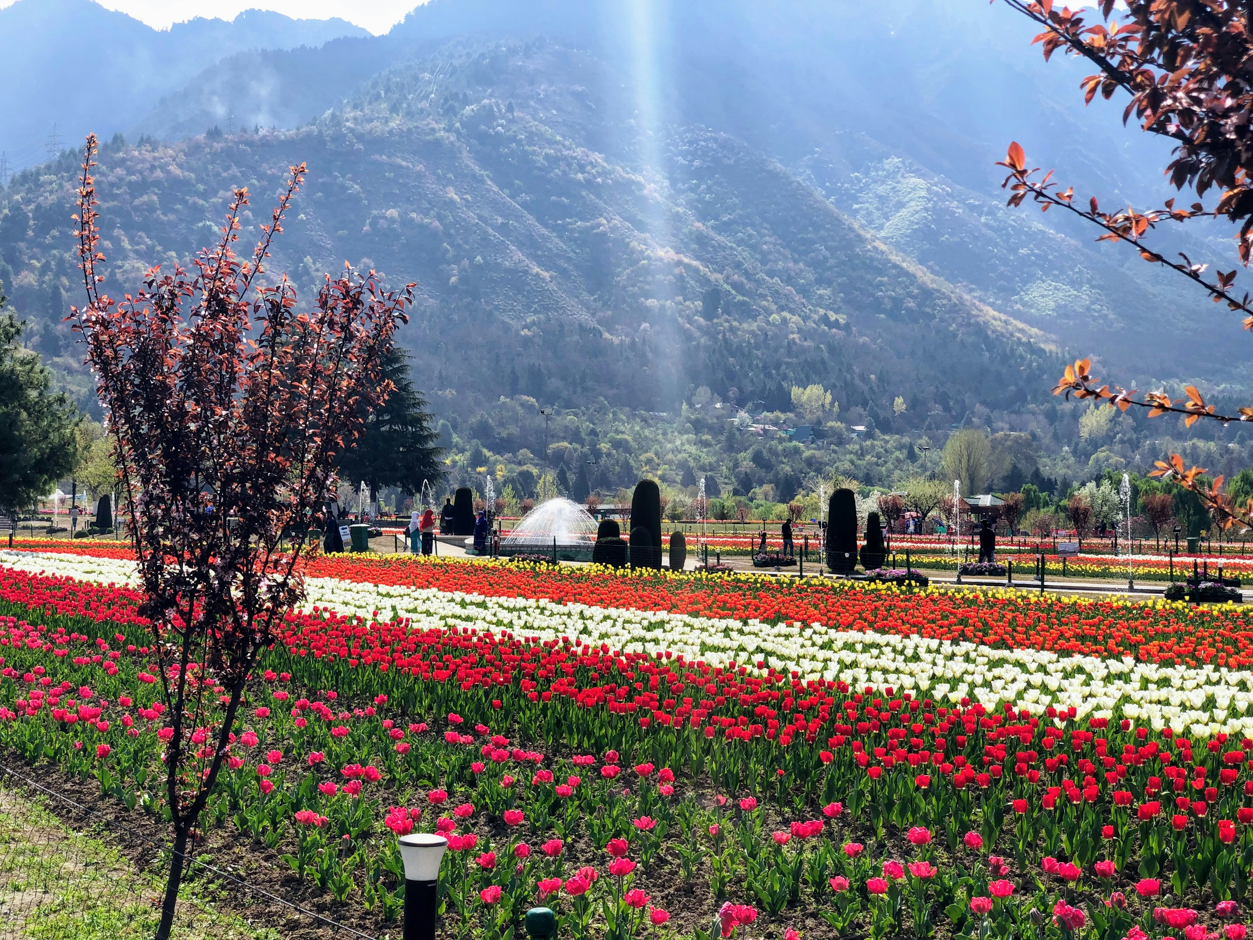 Top 7 Tourist Attractions in Kashmir