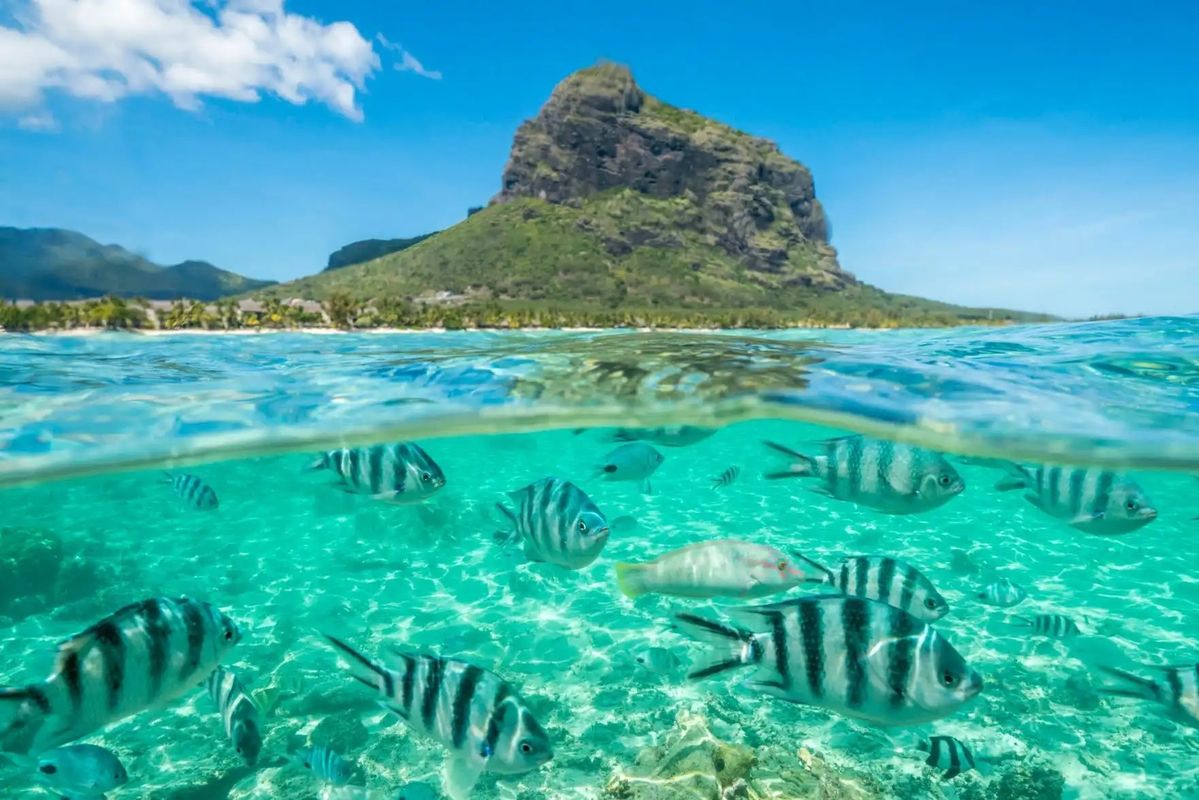 mauritius