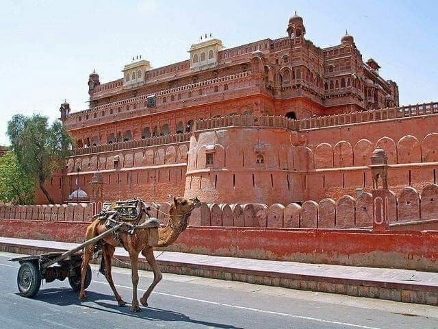 rajasthan