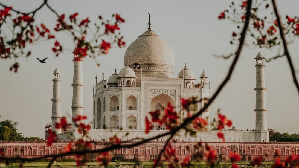 rajasthan