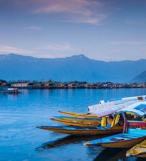 kashmir