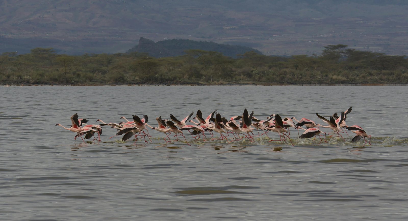First Time in Kenya? Start With These 7 Places